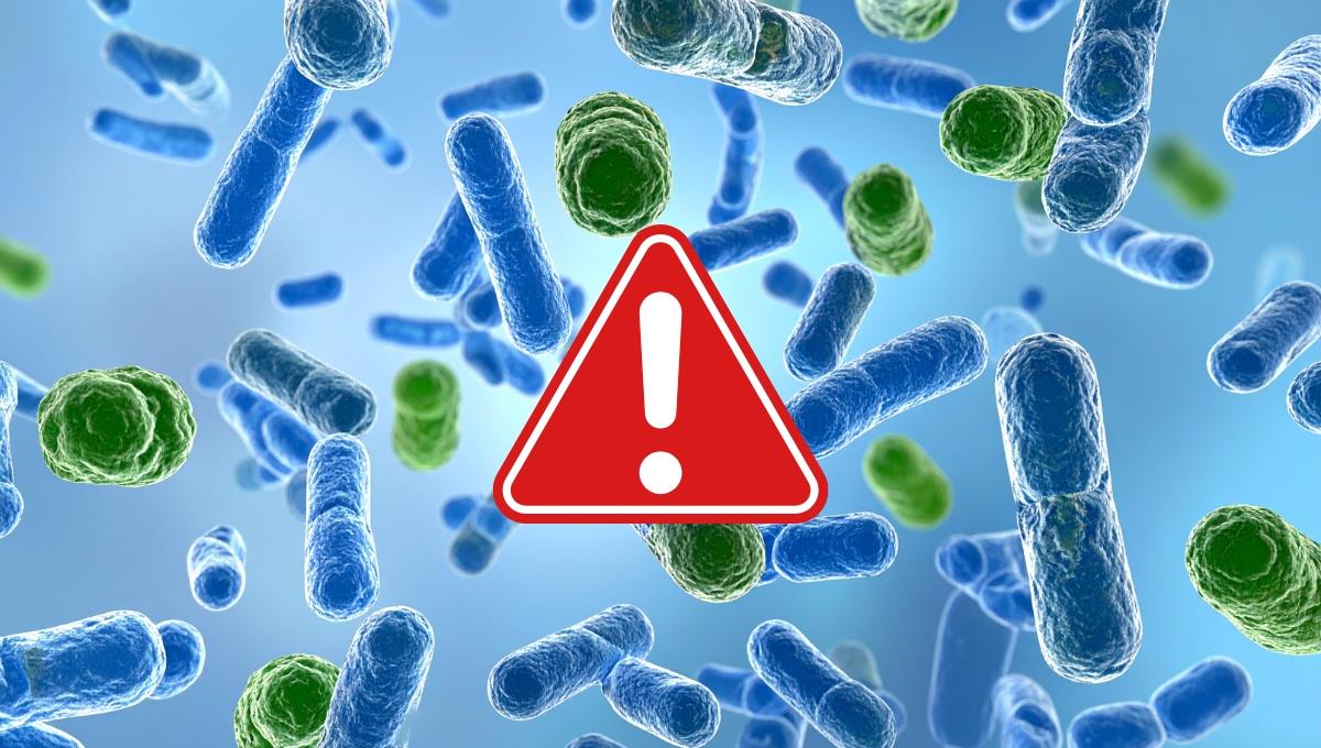 Lo agarras todos los días, casi todo el tiempo, pero está plagado de bacterias